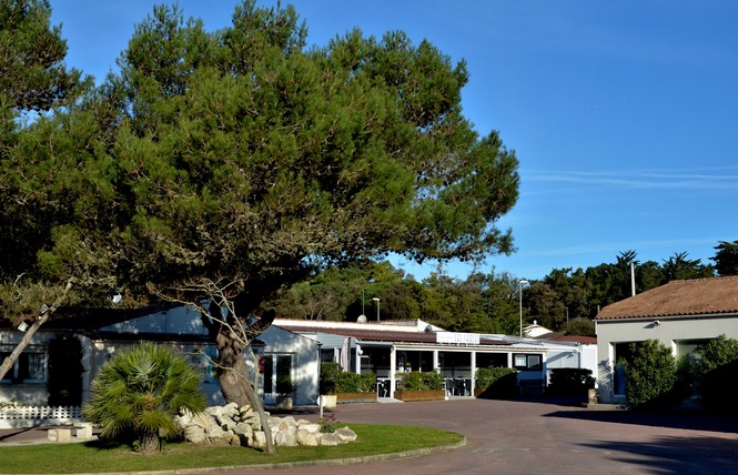 Quels sont les différents équipements de confort disponibles au camping Les Sables Vignier Plage ?