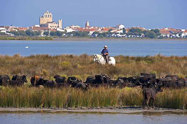 Profitez des moments de bonheur et de détente dans l&rsquo;espace aquatique du camping le Bon Port