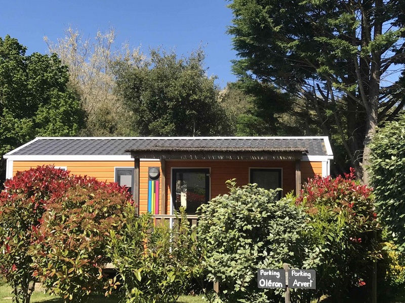 Où se ressourcer en pleine nature à La Palmyre ?